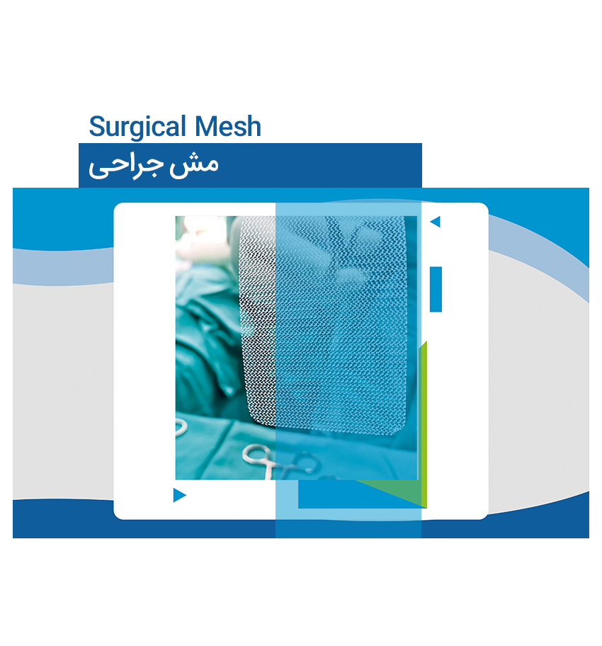 Surgical Mesh
